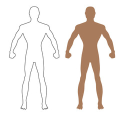 Fashion man body full length bald fist front view template figure, vector illustration isolated on white background