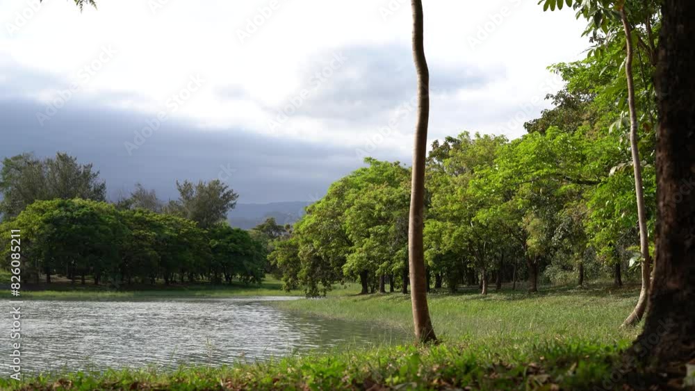 Wall mural taitung forest park lake scenery in taitung, taiwan