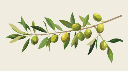 Green olive branch. Natural virgin cartoon plant Cartoon