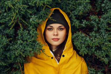Woman in yellow raincoat hiding behind evergreen trees, outdoor adventure travel concept in nature...