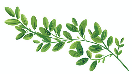Herb icon. Green branch. Cartoon natural plant Cartoon