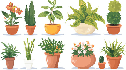 Houseplants and flowerpots Cartoon Vector style vector