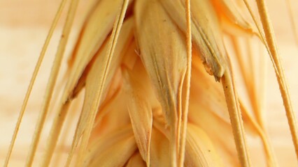 From planting to harvest, the growth of wheat symbolizes the cycle of life, renewal, and the...