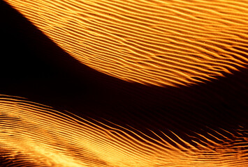Abstract orange sand background with waves. Close up view of sandy waves in desert. Texture of yellow sand. © Sergo