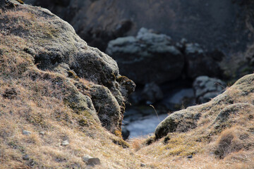 Island, Wasserfall am Verlauf des Skogafoss