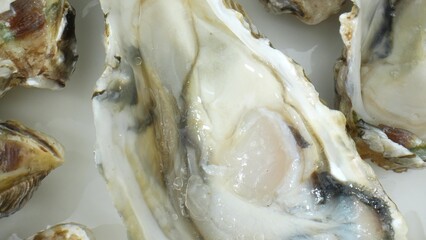 Oysters: Rich cultural history, consumed for millennia, tied to traditions globally. Aquaculture...