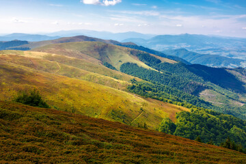 rolling hills of borzhava ridge. wonderful carpathian mountain landscape. rural valley in the far distance. popular travel destination of volovets region on a sunny summer afternoon