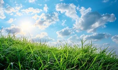 Obraz premium Landscape view of green grass on slope with blue sky , Generative AI