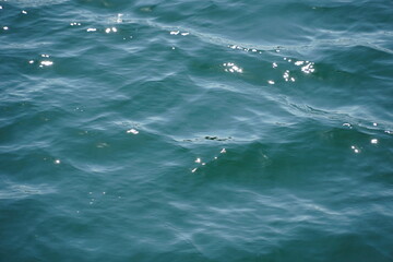 Fototapeta premium water, wave, sea, ocean, lake, river, nature, 