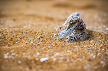 Between the plain and the sea. The lighthouse of Bibione, the dunes and its natural environment.