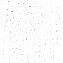 Hundreds of small water droplets, isolated on transparent background, Generative AI