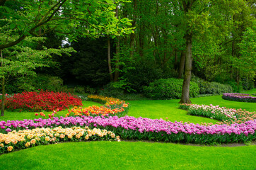 Obraz premium Spring flower park with green grass, trees and blooming flowers