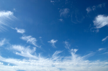 White fluffy clouds in the blue sky.