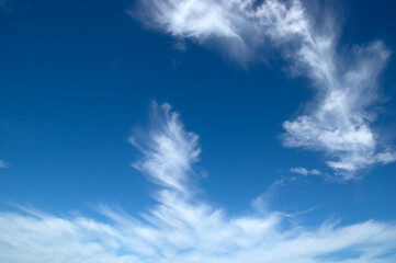 White fluffy clouds in the blue sky.