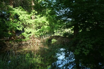 井の頭公園内の池に架かる橋