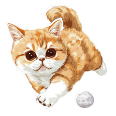 Exotic Shorthair cat icon png transparent
