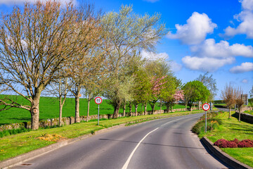 Road scenery in Cashel, County Tipperary, Ireland.