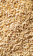Closeup of quinoa texture with glossy beige surface