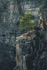 Fototapeta premium Aerial view of a single tree growing on the edge of a cliff, surrounded by rugged terrain. Emphasize the isolation and simplicity of the scene, with the tree as the focal point. 