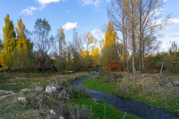 Village landscape. A small river flows through the meadow. Trees with yellow leaves in the background