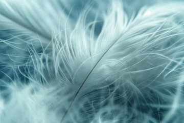 Macro shot of a down feather, with ultra-fine, soft fibers interweaving in a dreamy, cloud-like texture.