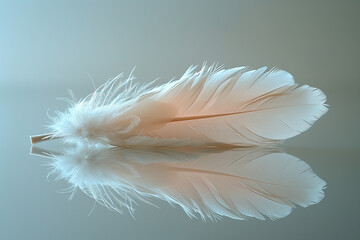 A delicate feather resting on a smooth, reflective surface, doubling the visual texture in its mirror image.