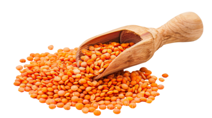 A wooden scoop holding red lentils against a white background