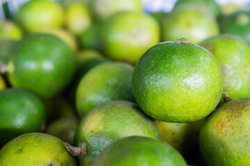 Green lemon on the background pattern of several green lemons.