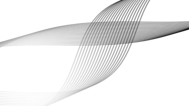seamless swirl stripe line motion graphic animation, simple and minimal on white background