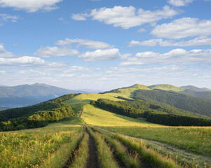 Naklejka premium Summer Landscape with Mountain View
