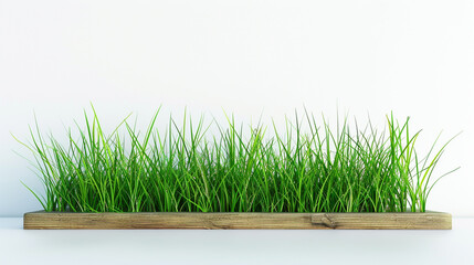 grass board on a white background. no shadow. pure white background color.
