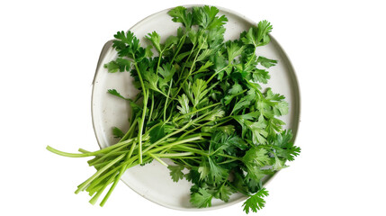 A bunch of fresh green parsley leaves neatly arranged on a clean white plate