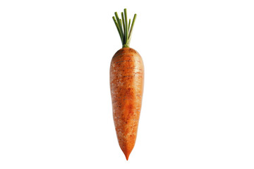 Carrot isolated on white background