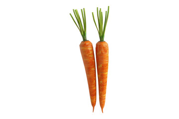 Carrot isolated on white background