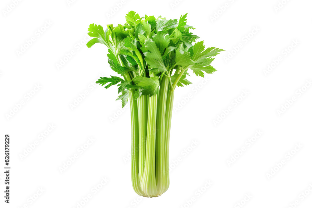 Wall mural celery isolated on white background