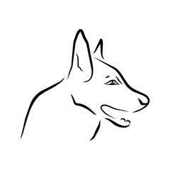 dog Vector