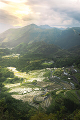 丸山千枚田