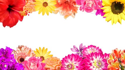 Frame of colorful flower varieties, isolated on white background with space for text.