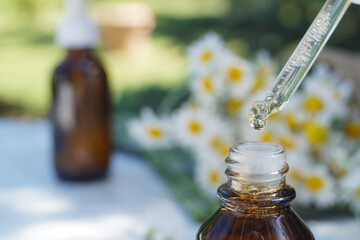 Chamomile flowers and pipette with serum or cosmetic liquid. Flower in sunlight with a beautiful...