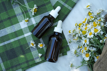 Composition with chamomile flowers and cosmetic bottles of essential oil. Top view, flat lay. Space for text.