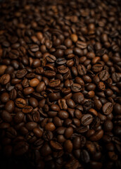 Colorful background with coffee beans in close-up