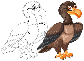 Vector of a bird in color and outline