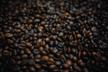 Colorful background with coffee beans in close-up