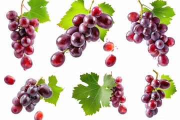 Obraz premium background fruit grapes isolated white