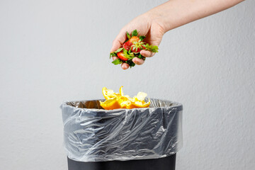 garbage can for bio waste. sorting and recycling of garbage