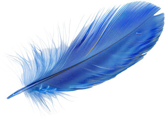 blue feather isolated on transparent background © xadartstudio