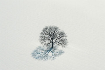 Aerial view of an isolated tree standing alone in a vast, snow-covered field. Emphasize the stark contrast between the dark tree and the white landscape.
