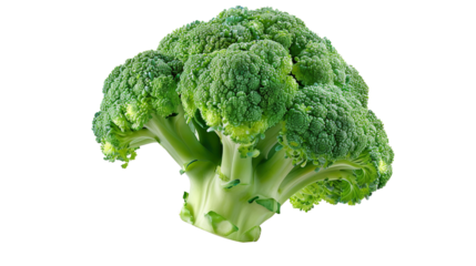 Broccoli, isolated on transparent white with PNG background.