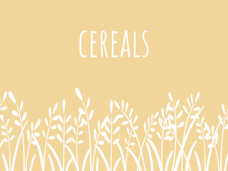 Spikelets of white wheat on golden yellow template background, vector illustration. Hand engraved sketch of cereal sprouts. Healthy organic food