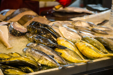 a market stall filled with various fresh, vibrant-colored seafood